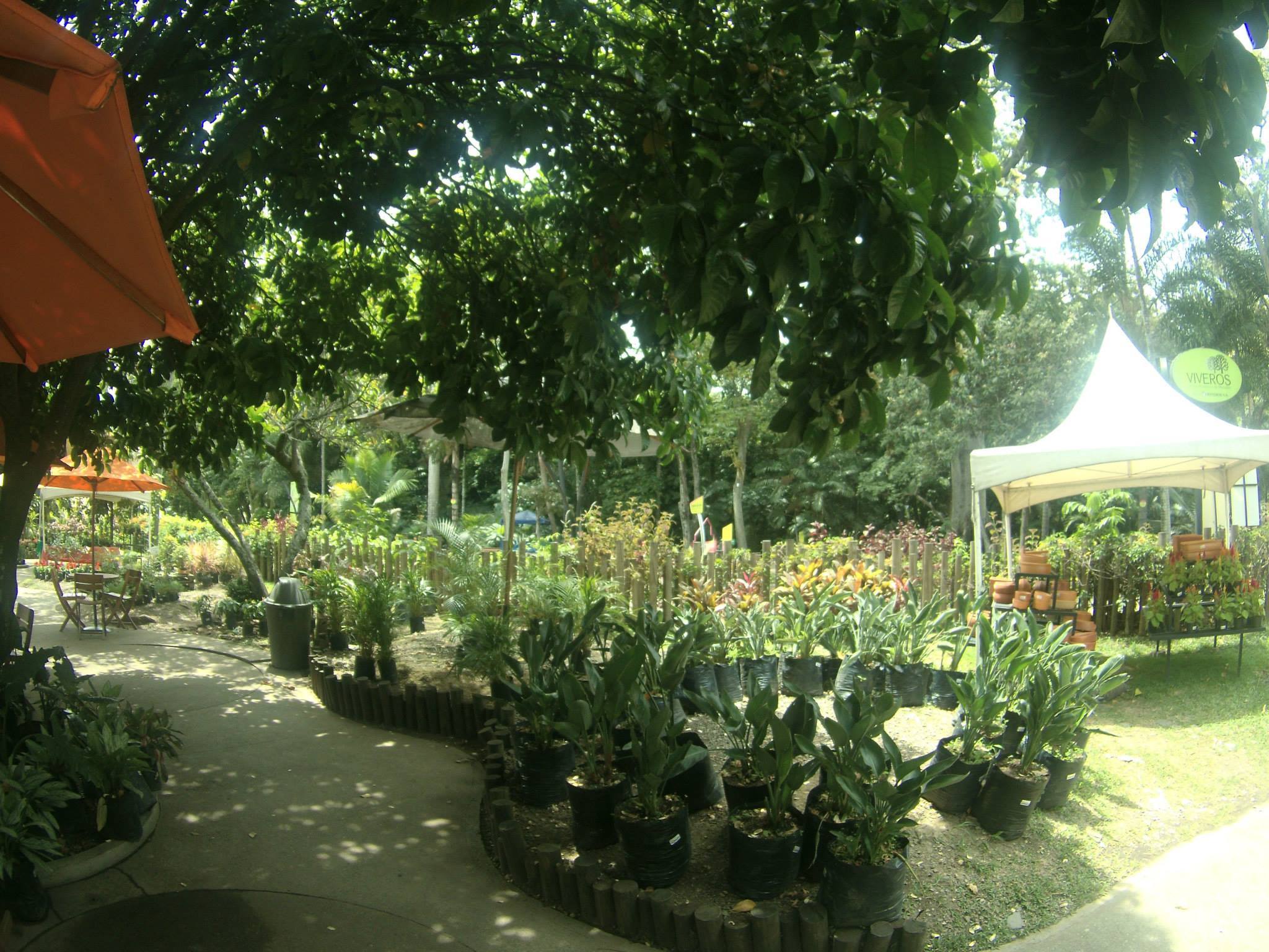 Jardin Botanico 1